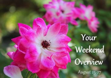 Weekend Overview August 25-27